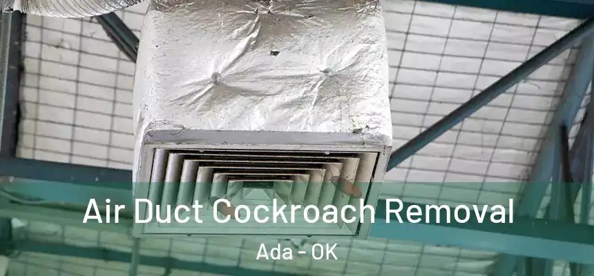  Air Duct Cockroach Removal Ada - OK