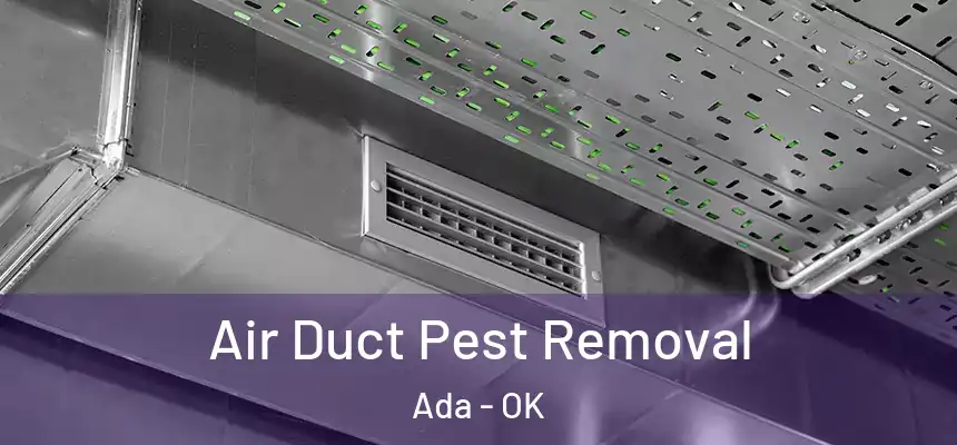 Air Duct Pest Removal Ada - OK