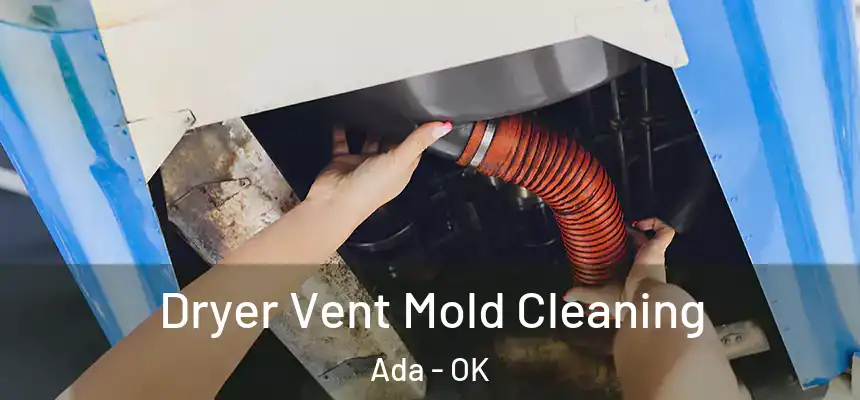  Dryer Vent Mold Cleaning Ada - OK