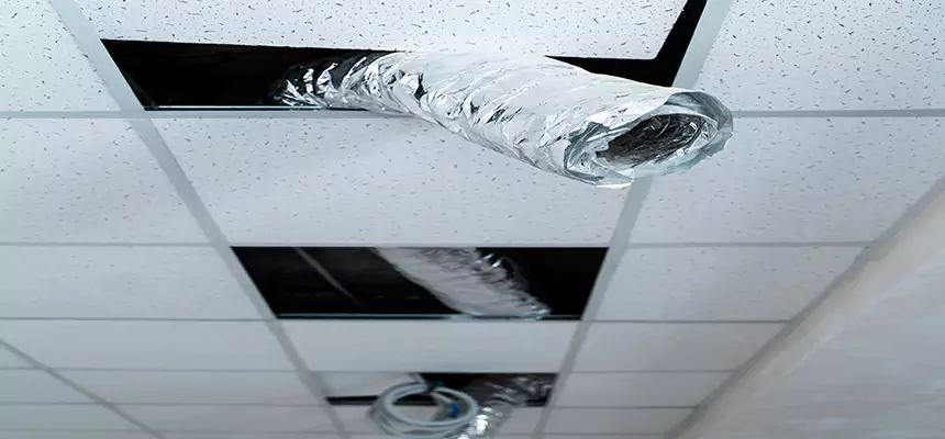 Our Air Duct Pet Hair Removal Services in Ada, OK