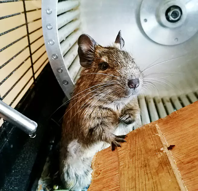 Why Homeowners & Businesses Trust Us Ada, OK?